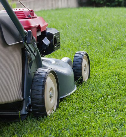 A lawn mower is cutting a lush green lawn.