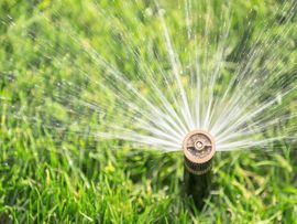 A close up of a sprinkler spraying water on a lush green lawn.