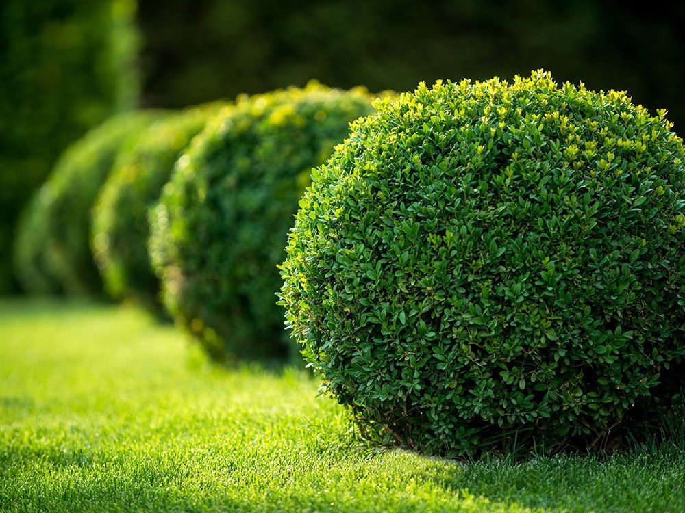 landscape-gallery