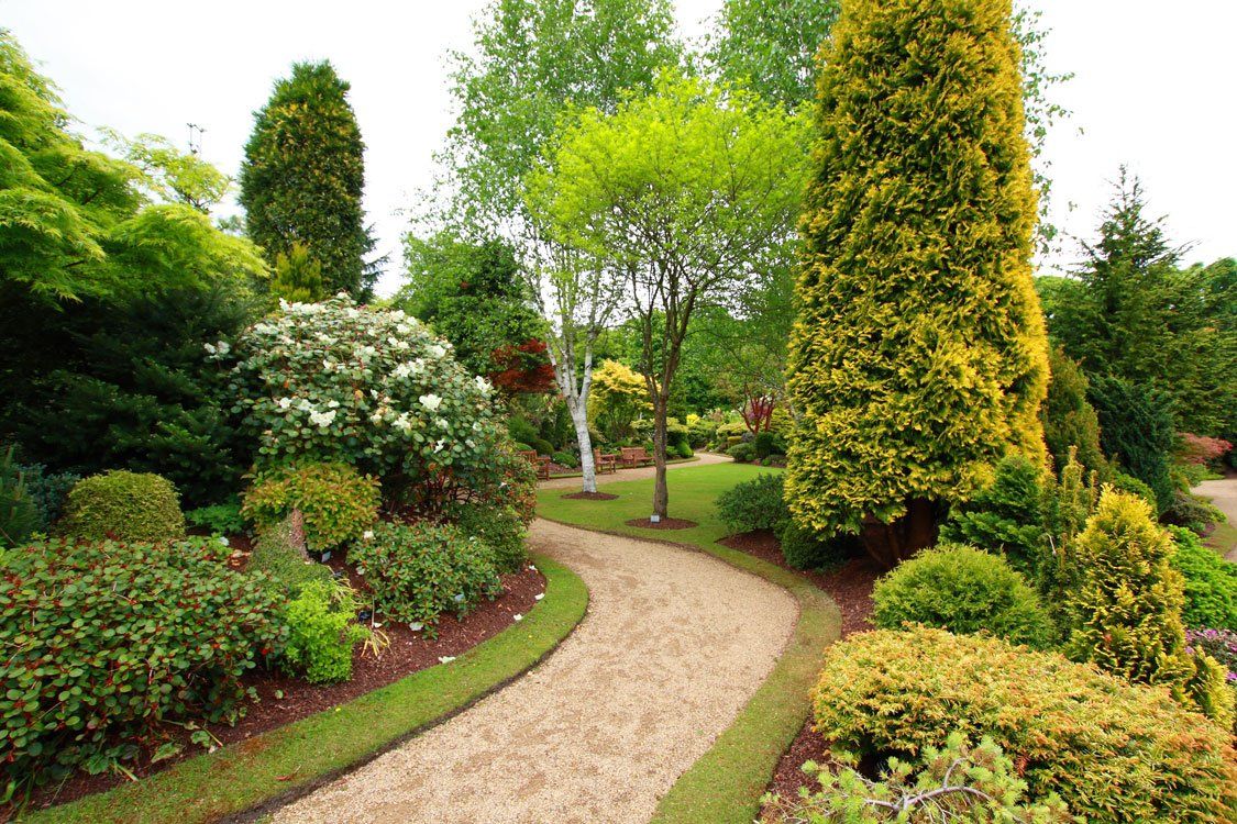 Landscape-design