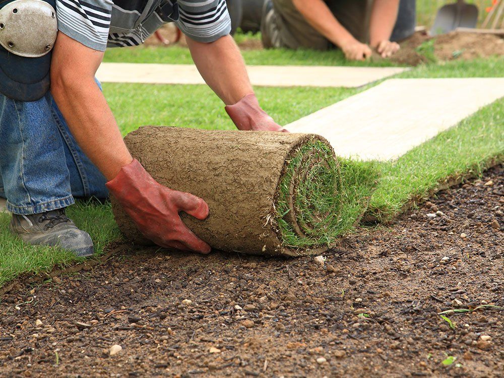 Lawncare-gallery
