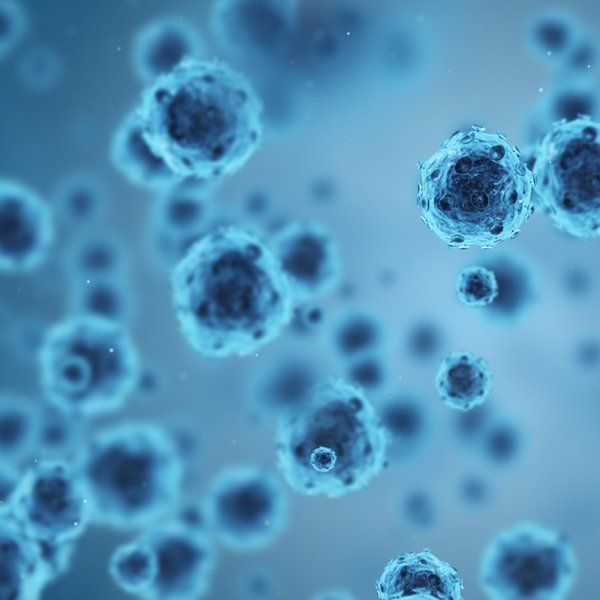 Blue cells, resembling spheres, scattered on a pale blue background.