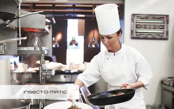 Chef plating food in a commercial kitchen with an insect control device on the wall.
