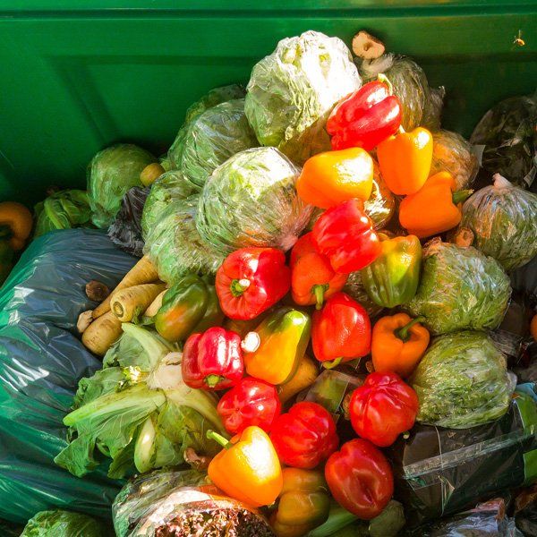 Pile of fresh red, orange, and yellow bell peppers with green cabbage in a green bin.
