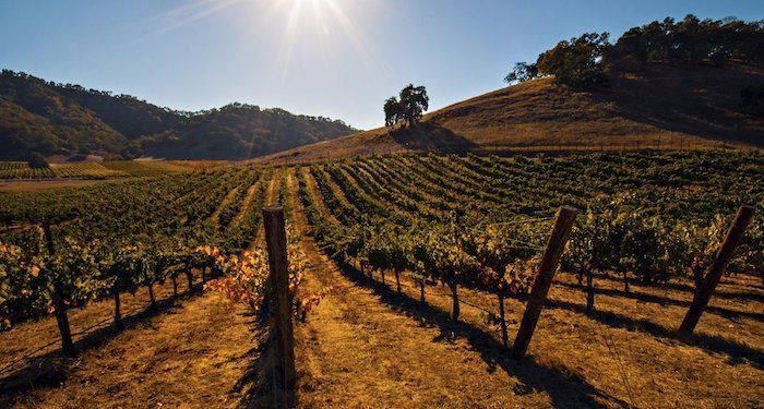 limo wine tour los angeles