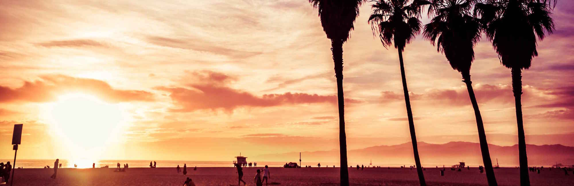 venice beach limo rental