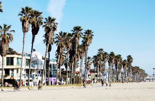 Venice Beach La limo rental