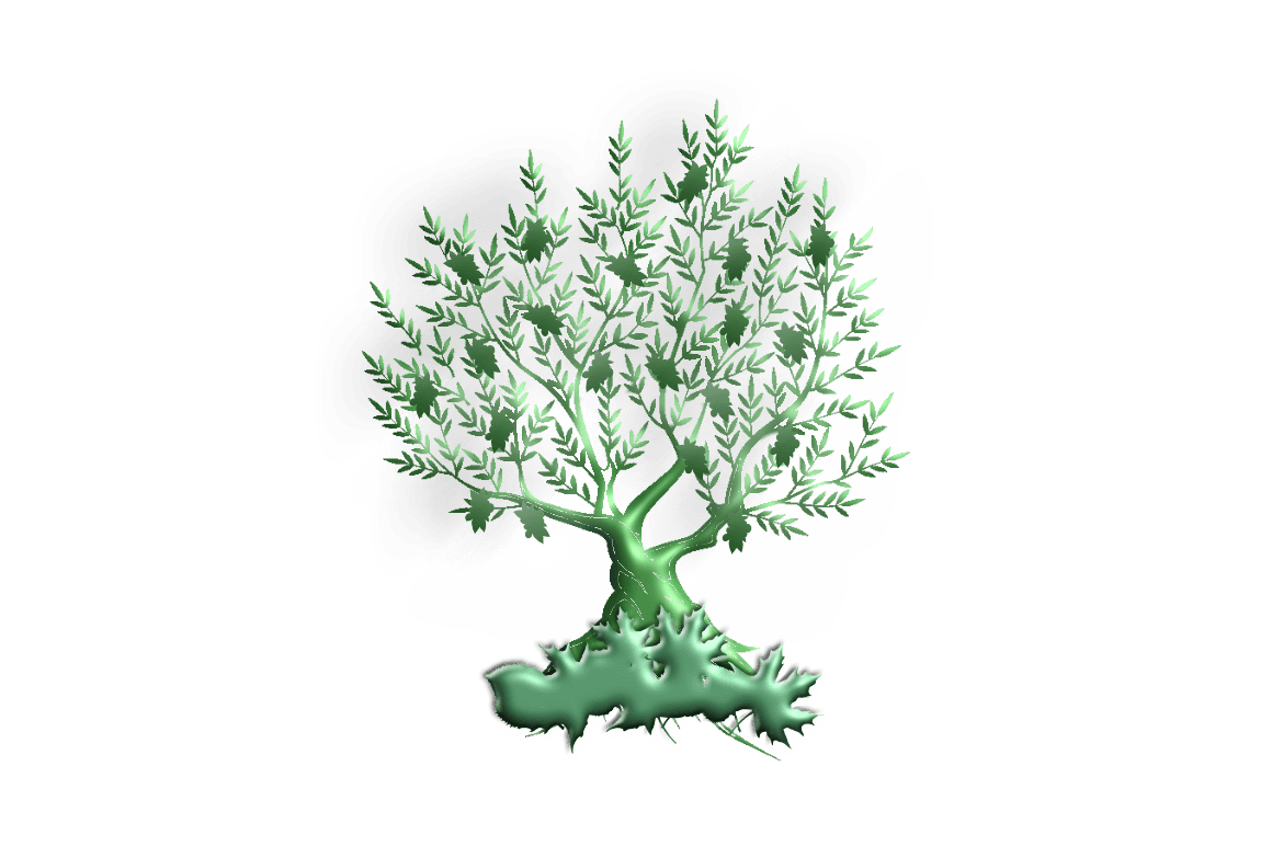 Green tree with leaves and roots on a white background.
