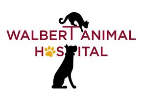 Local Veterinarian Allentown, PA