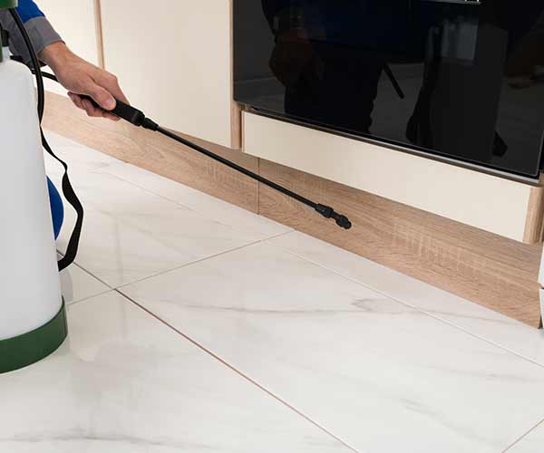 Quality Pest Control — Spraying Insecticide in Cape Coral, FL
