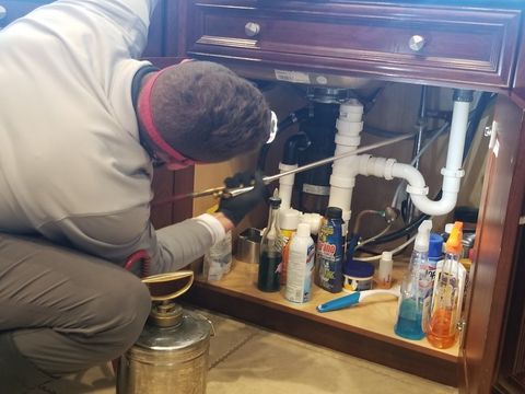 Lawn Insecticide — Spraying Pesticide In Kitchen in Cape Coral, FL