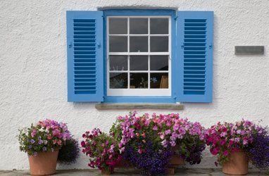 Box sash windows
