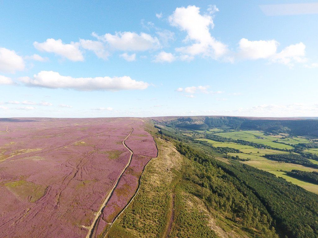 Cleveland Way above Ingleby Manor