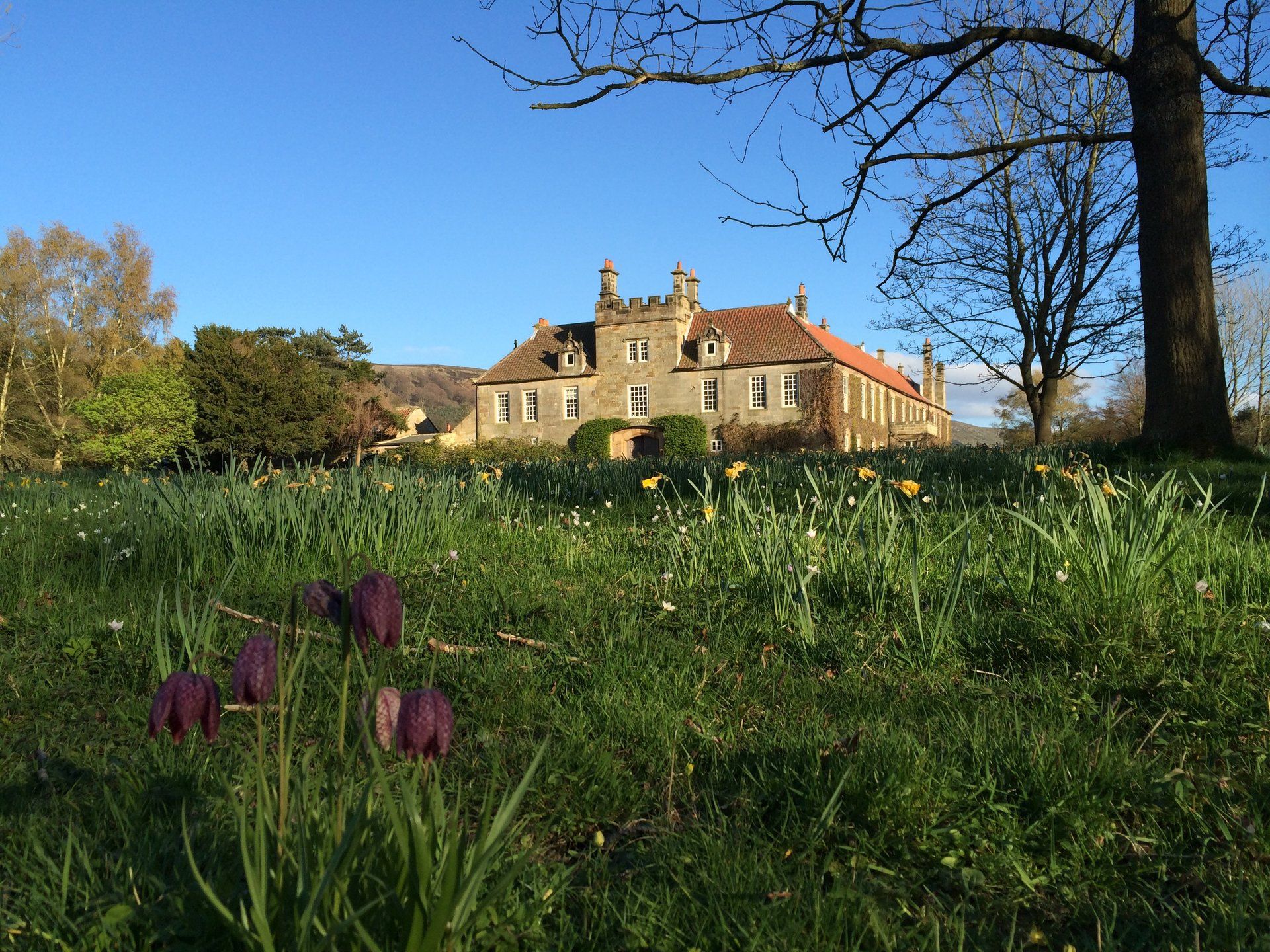 Ingleby Manor garden & grounds