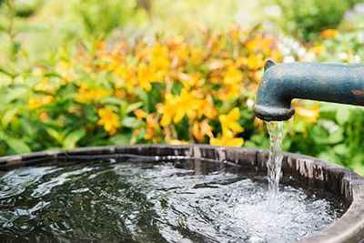 Farm water pumps - Well Pump Company in Kirkwood, NY