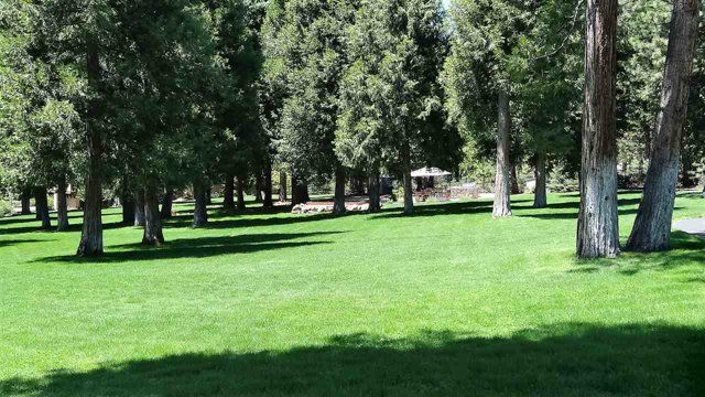 Landscaped grounds