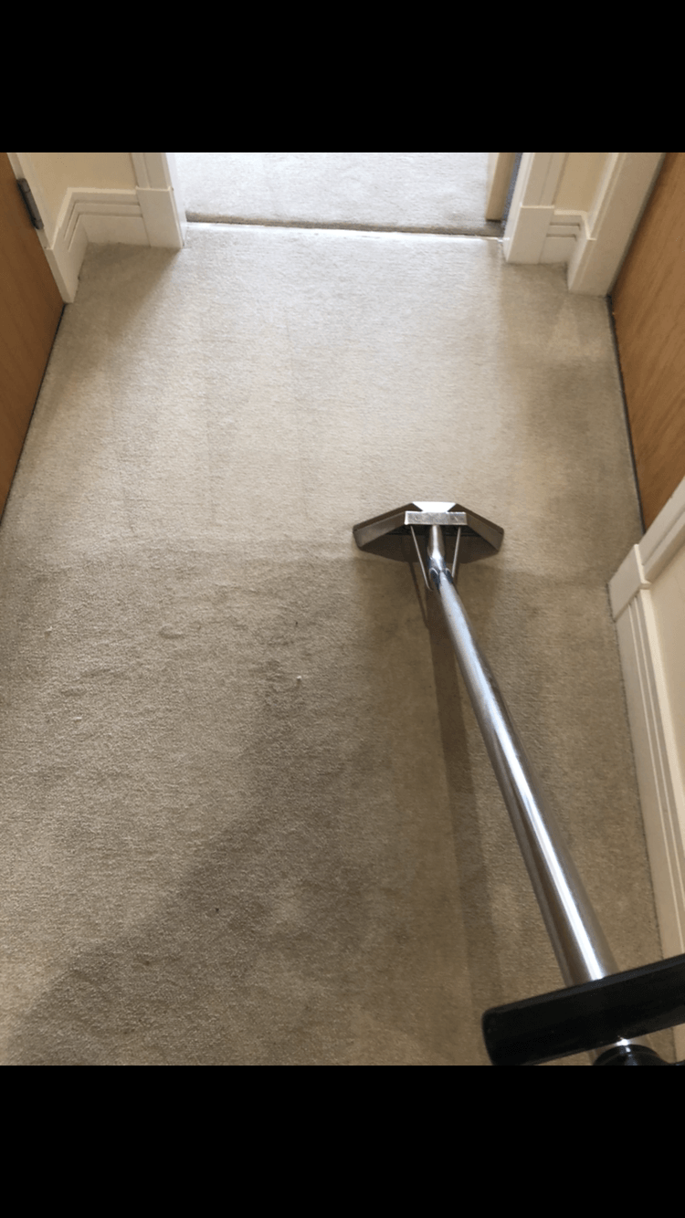 Carpet cleaning