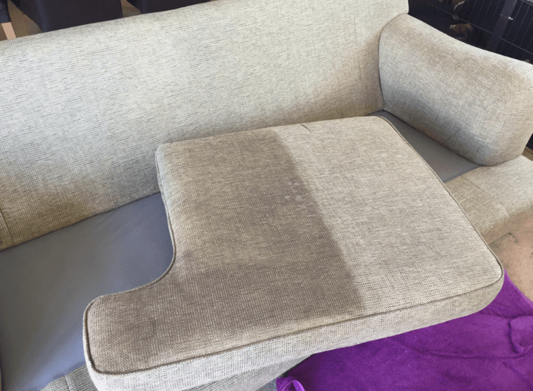 Carpet cleaning