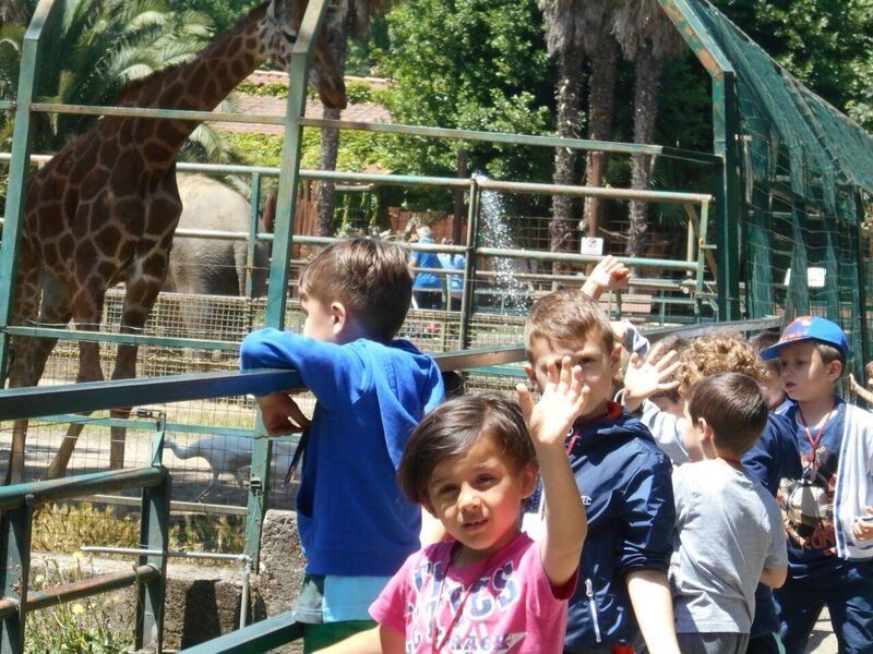 Gita scolastica allo zoo