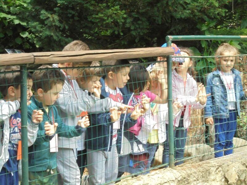 Gita scolastica allo zoo - 5