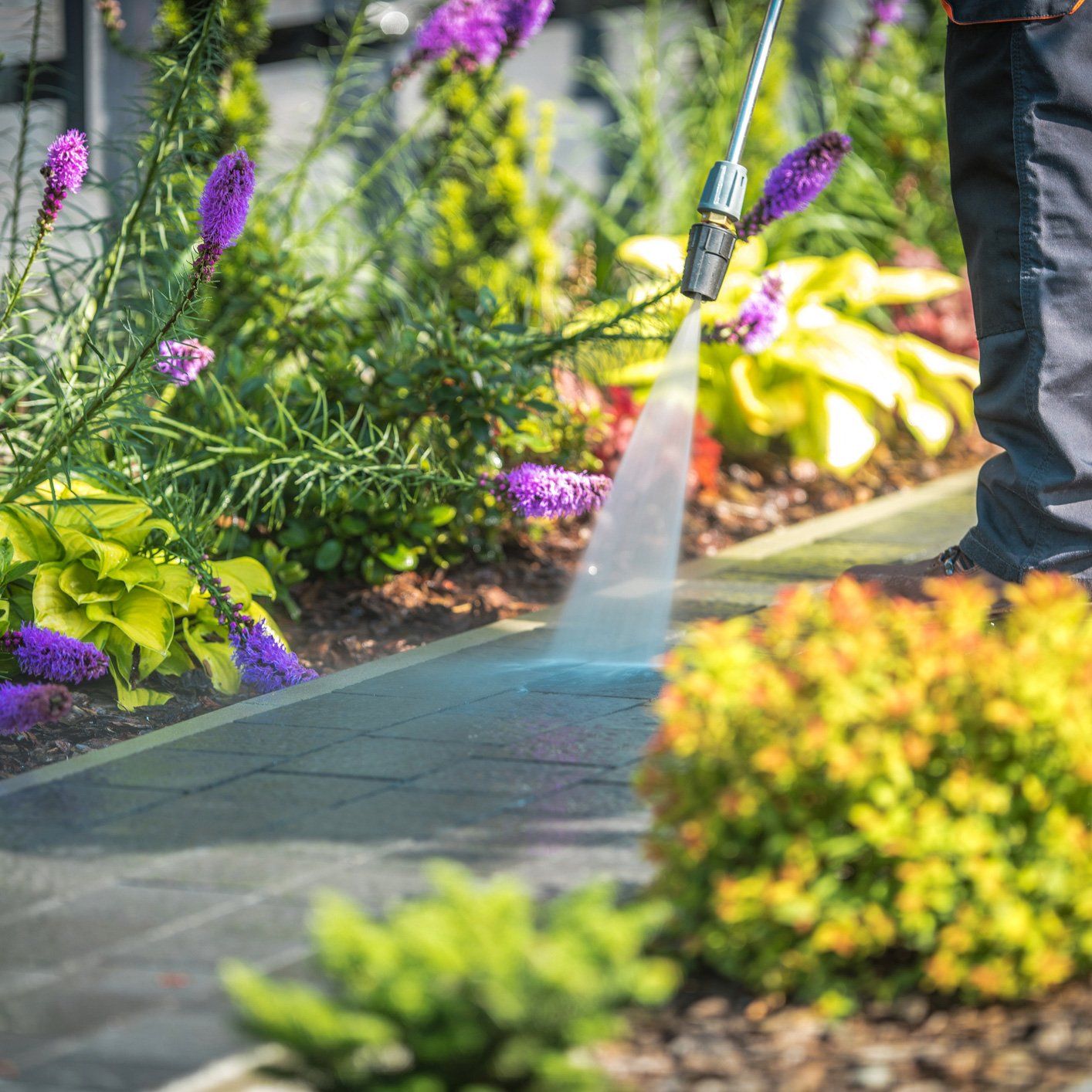 Pressure Washing Walk Path — Arnold, MD — Jim’s Painting Co. Pressure washing a garden walkway beside colorful flowers and shrubs