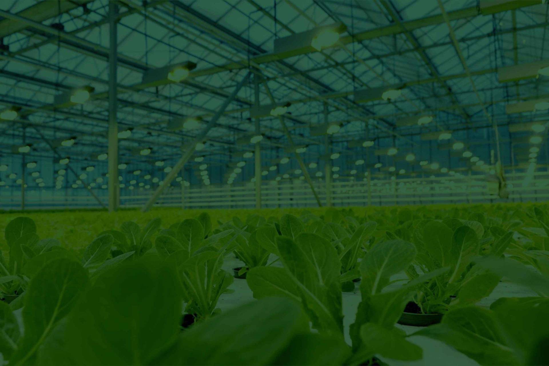 Mymesh for other markets: Ancillary, Outdoor, Horticulture, Leisure, Transport, Custodial, Retail, Hospitality