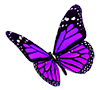 Purple Butterfly logo