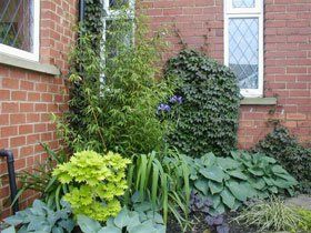 Garden maintenance - Bradford - Largent Landscapes - Garden Garden maintenance - Bradford - Largent Landscapes - Garden