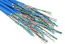 cat cable