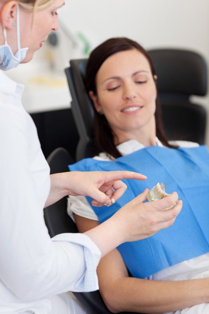 Dentist Showing Model of Dentures — Ballina Denture Clinic Michael J Parker in Ballina, NSW
