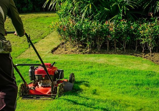 Lawn mower cutting green grass