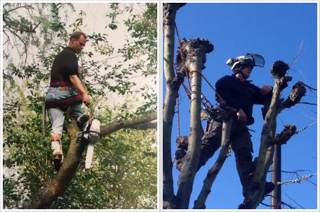 Ascot, 1987 to Windsor, 2014