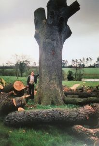Tree surgery 1