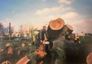 Tree surgery 4