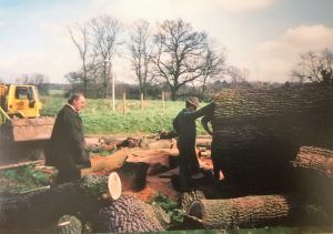 Tree surgery 2