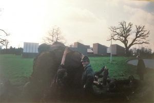 Tree surgery 3
