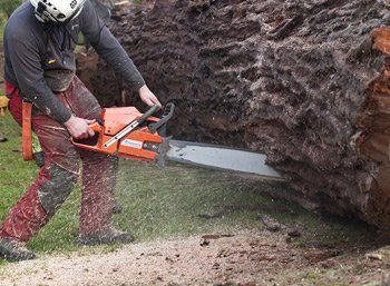 Tree trunk cutting