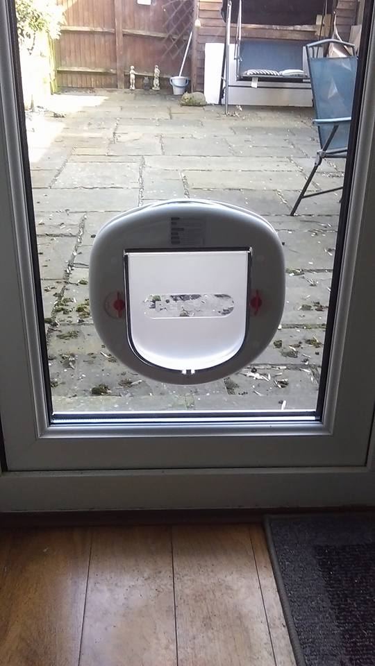 Door repairs