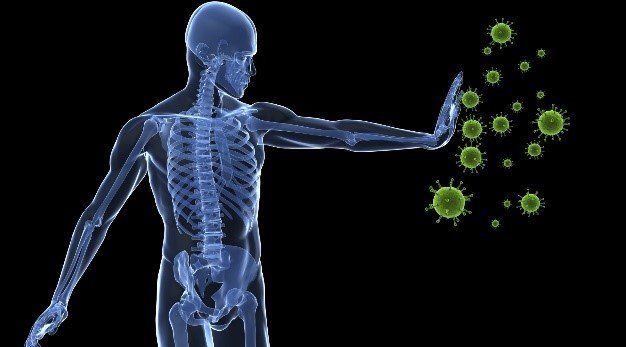 Chiropractic Proves More Effective Than Medical Care For Spinal, Hip and Shoulder Pain
