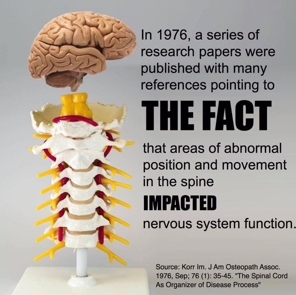 Should I Go to a Chiropractor After a Car Accident in St. Pete, FL