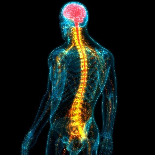 Should I Go to a Chiropractor After a Car Accident in St. Pete, FL