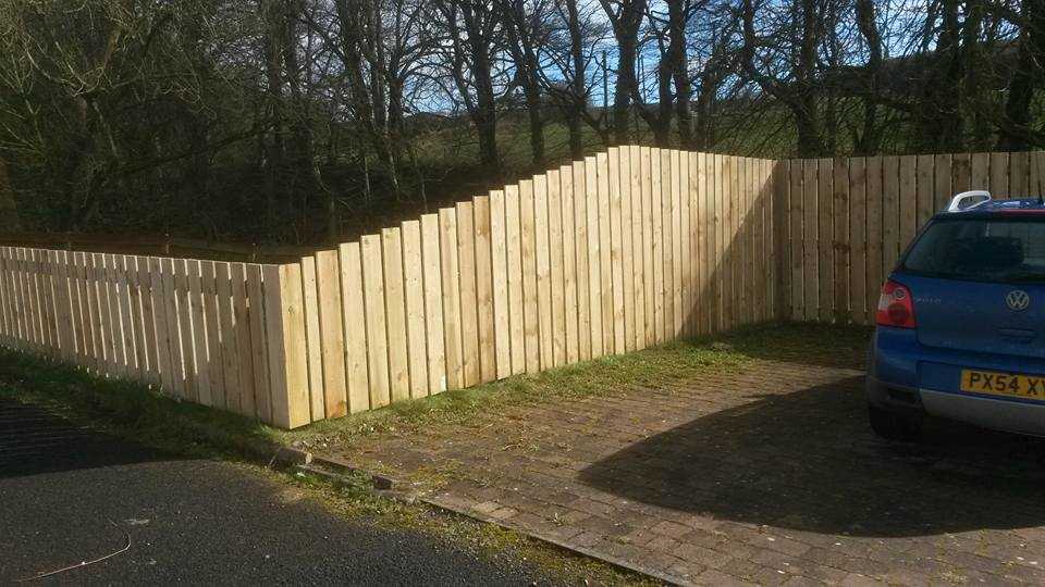 Fencing Contractors Basingstoke