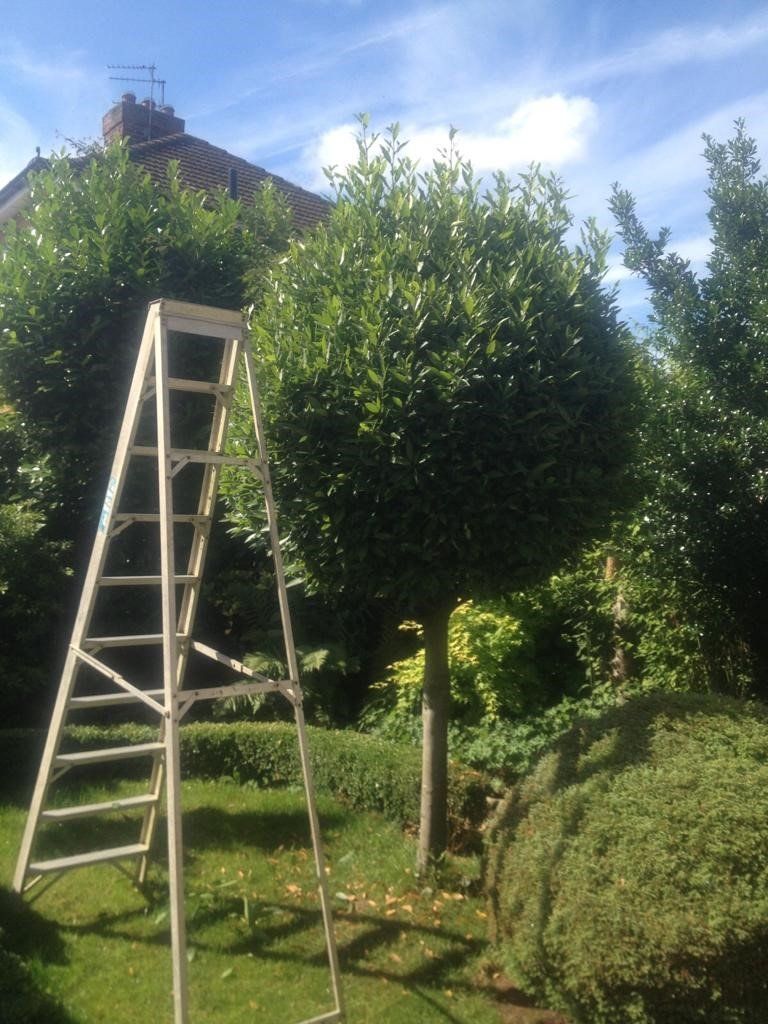 Garden makeovers 11