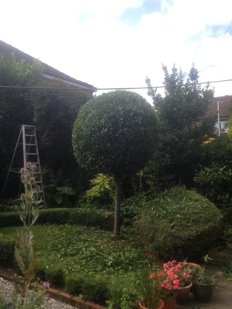 Garden makeovers 12