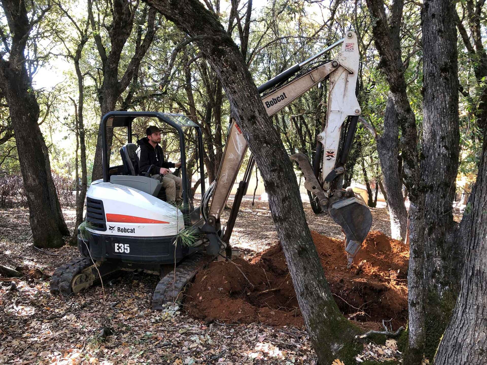 Andrew Riding a Bobcat Mini Excavator — Sutter Creek, CA — Sweet Pea Septic