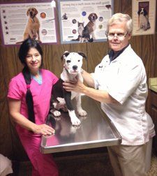 dog and doctor dog and doctor