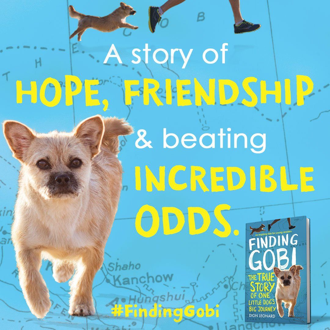 Finding Gobi Young Readers Edition, Dion Leonard, Gobi, China