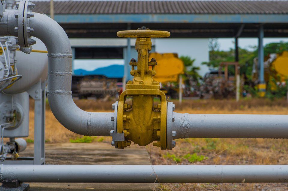 Manopola del gas