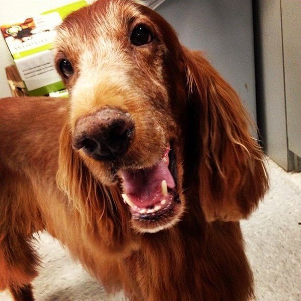 Darby