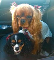 Winnie and BB